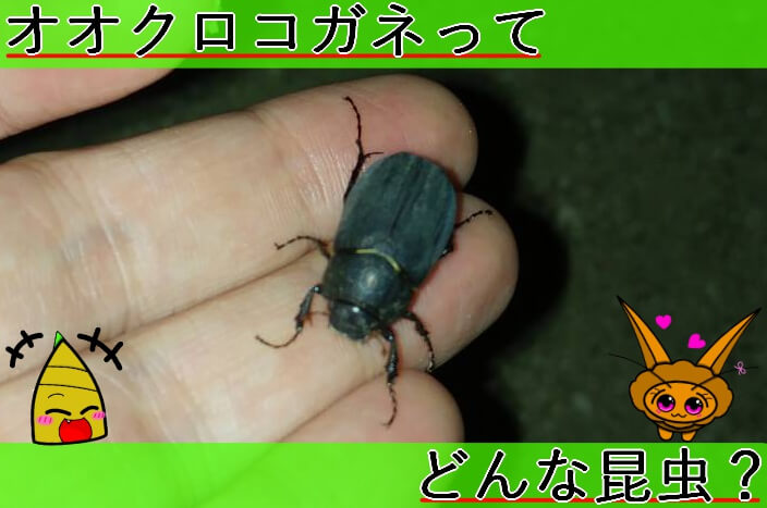 Thumbnail of post image 099